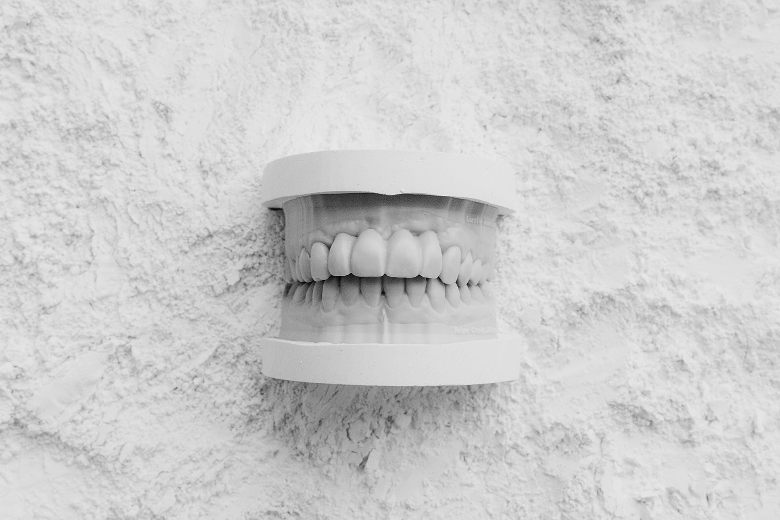 Model of a full set of teeth resting on a textured white surface